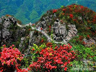 金子山旅游度假区